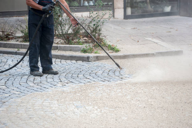 Best Animal Enclosure Cleaning  in Hemlock, MI