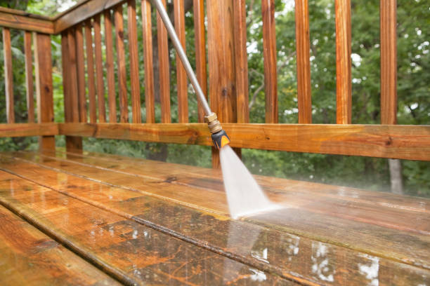 Animal Enclosure Cleaning in Hemlock, MI